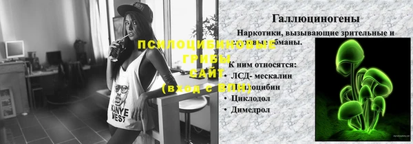 прущие грибы Белокуриха