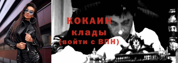 прущие грибы Белокуриха