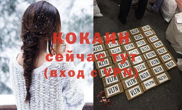 прущие грибы Белокуриха