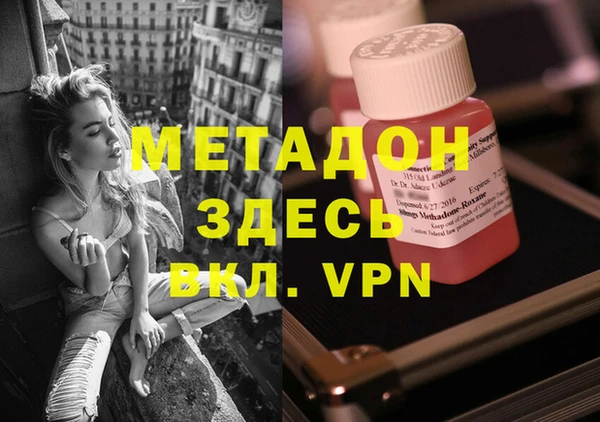 прущие грибы Белокуриха