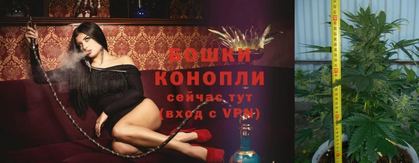 прущие грибы Белокуриха