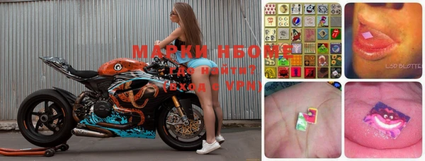 прущие грибы Белокуриха