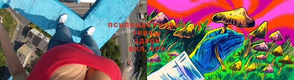 таблы Белоозёрский