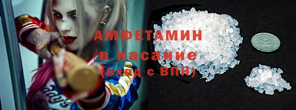 прущие грибы Белокуриха