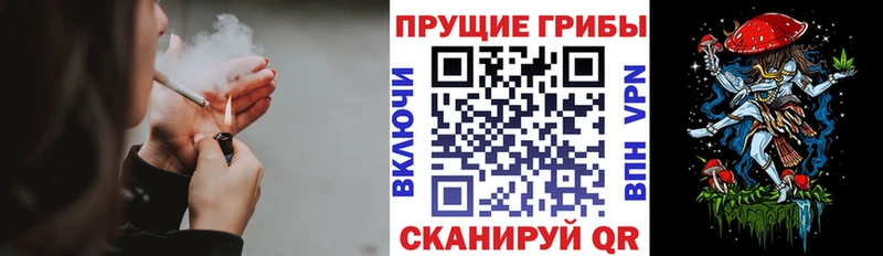 магазин  наркотиков  KRAKEN как зайти  Псилоцибиновые грибы ЛСД  Гай 