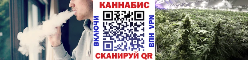 Конопля ГИДРОПОН  Гай 